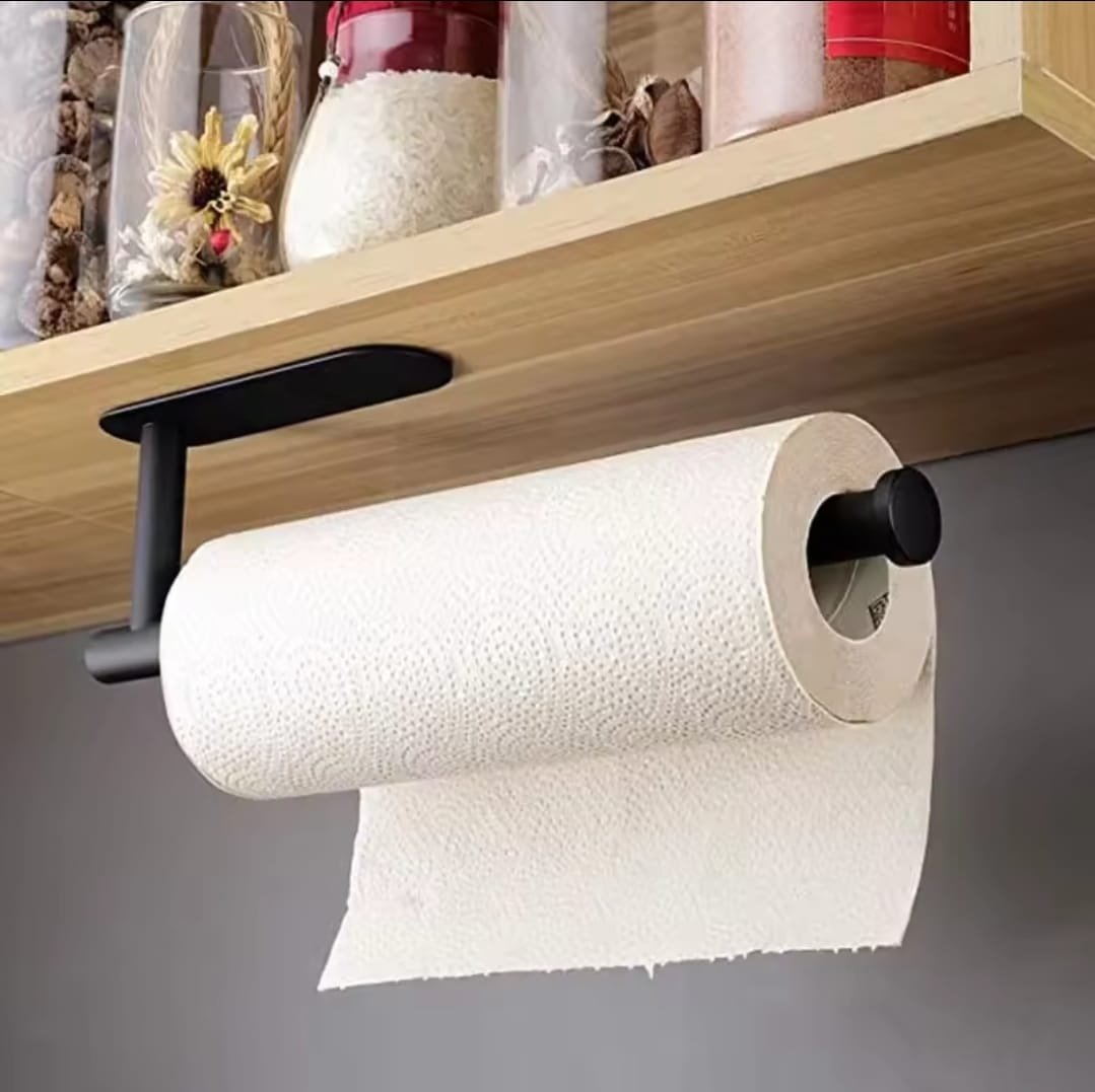 Stainless wall mounted Paper towel holder