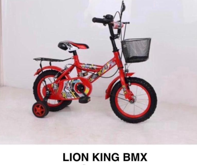 Lion kings bike