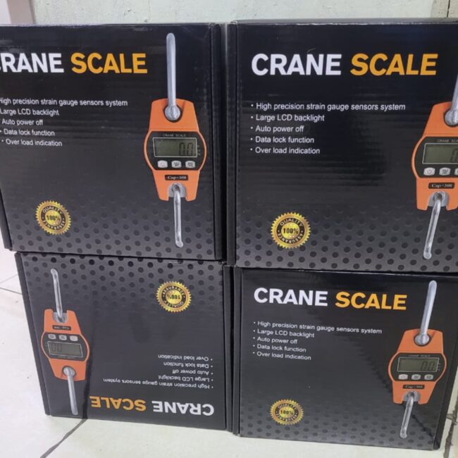 300kg crane scales